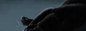 Macka_006