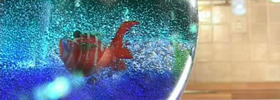 Kr_gelsvijeca_001_web